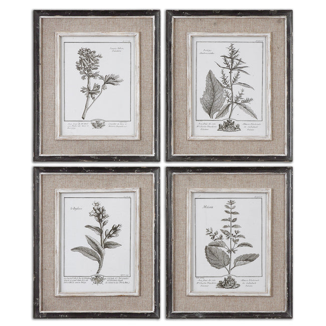 Casual Grey Study Framed Art - Set of 4