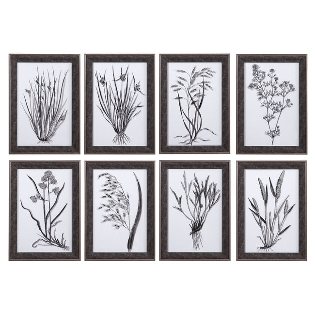 Classic Botany Framed Prints - Set of 8