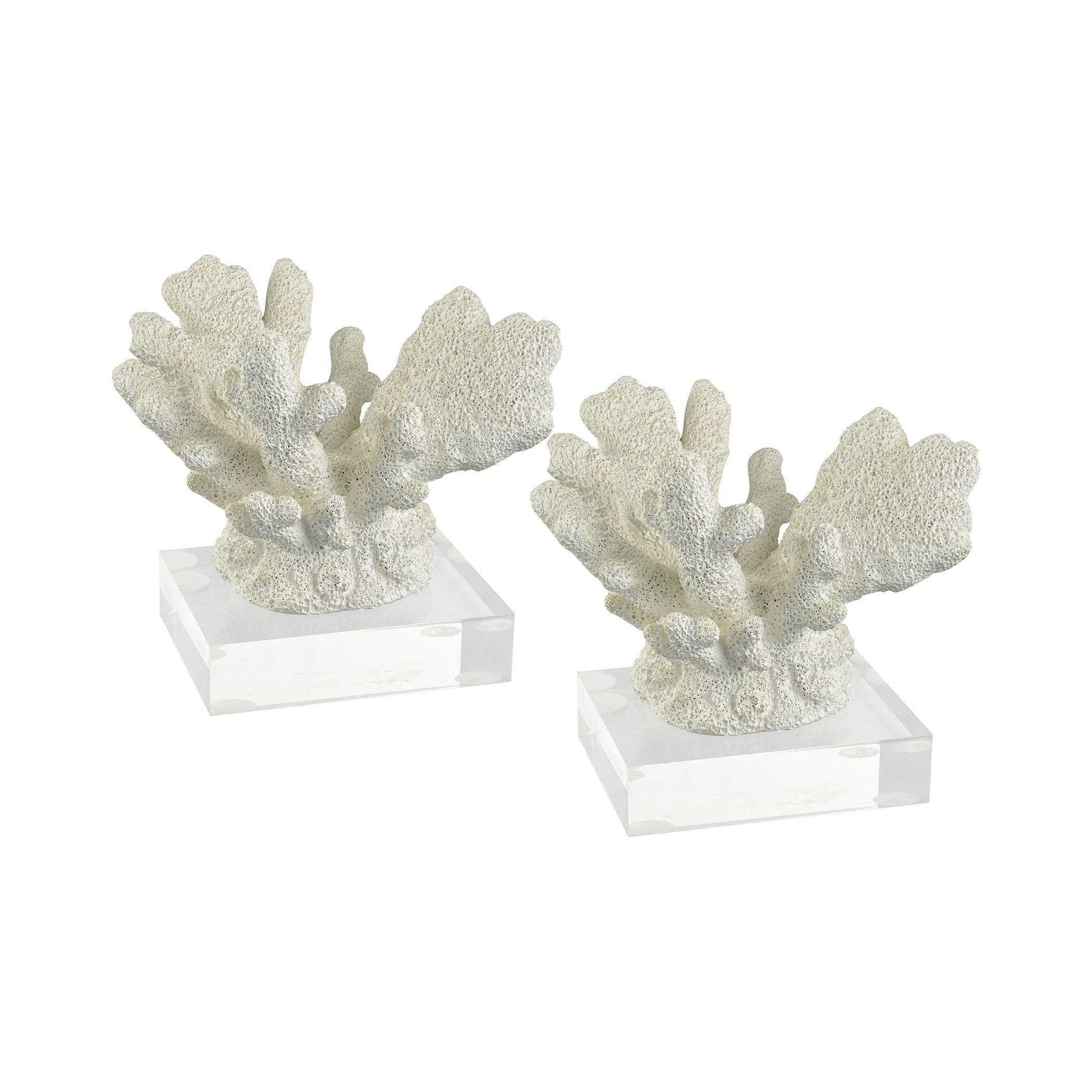 Great Reef Branch Coral - Set of 2