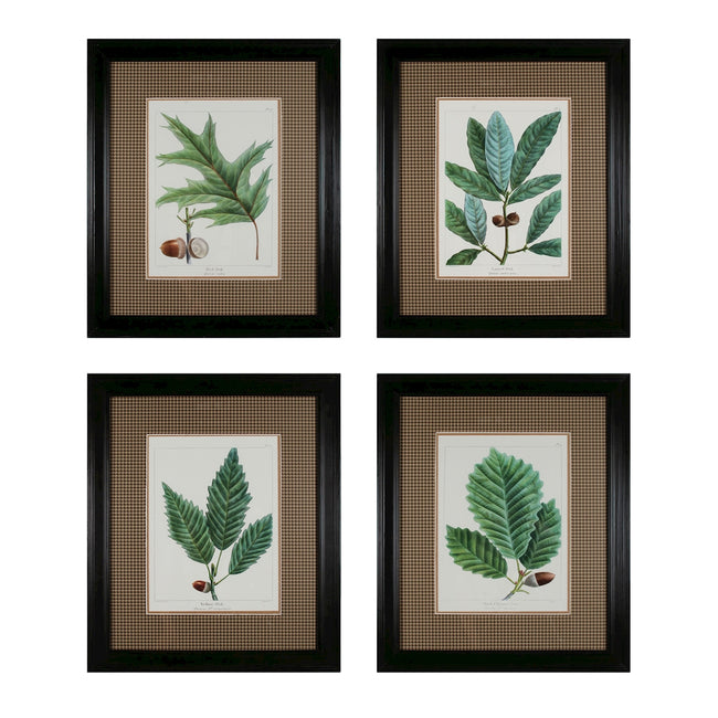 Oak Leaf Botanicals - Set of 4