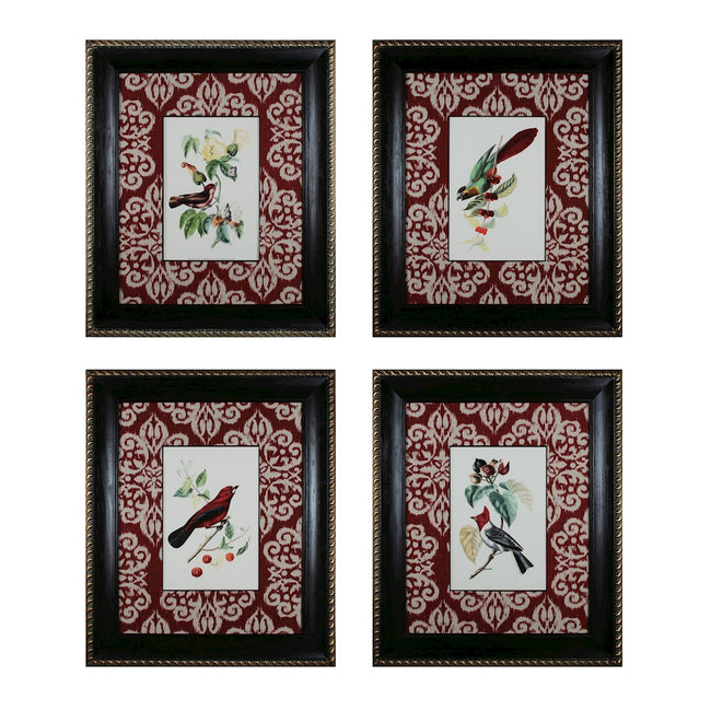 Cuvier Exotic Birds - Set of 4