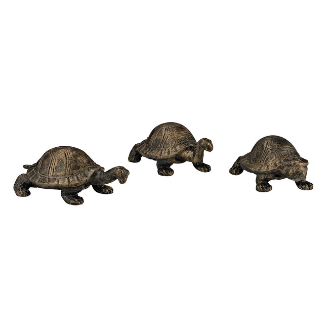 Box Turtles - Set of 3