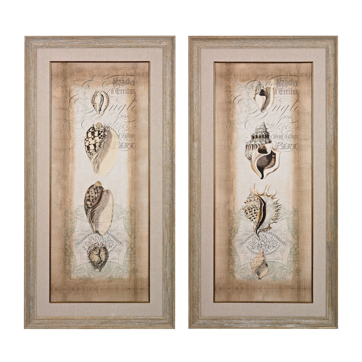 Cartouche And Shells I, Ii - Hand Embellished Canvas Using Matte And Gloss Gels