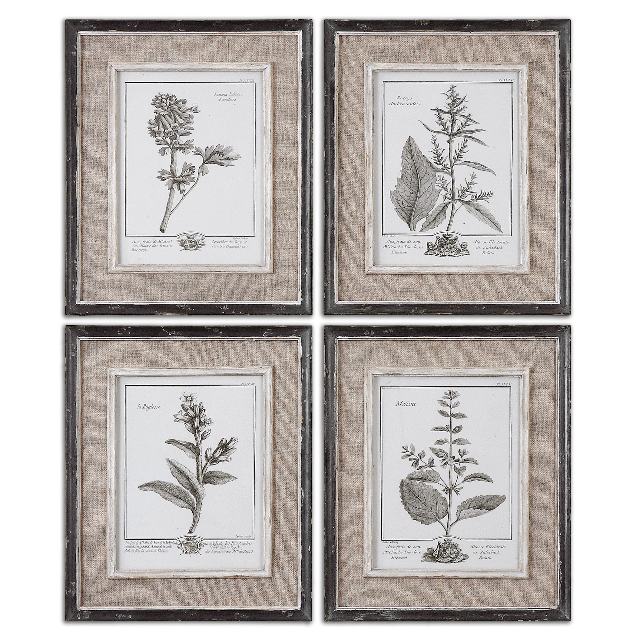 Casual Grey Study Framed Art - Set of 4