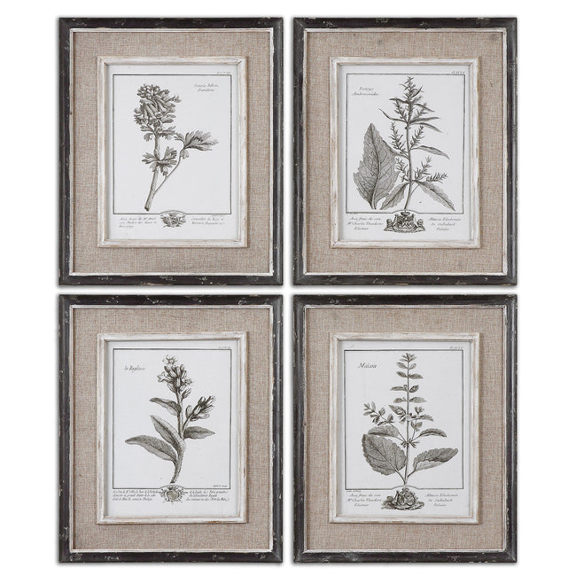 Casual Grey Study Framed Art - Set of 4