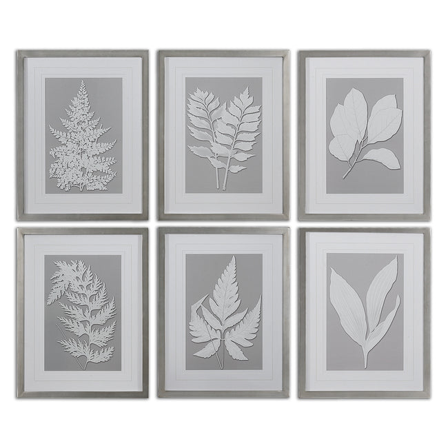 Moonlight Ferns Framed Art - Set of 6