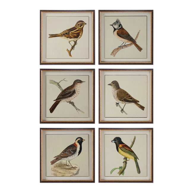 Spring Soldiers Bird Prints - Set of 6