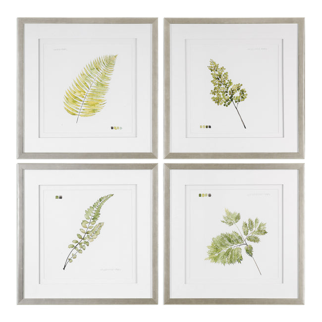 Watercolor Leaf Study Prints - Set of 4