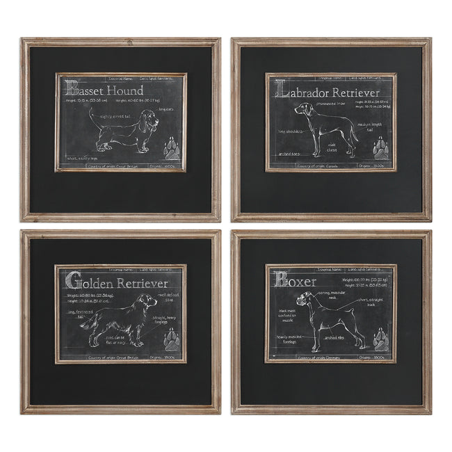 Canis Lupus Familiaris Prints - Set of 4