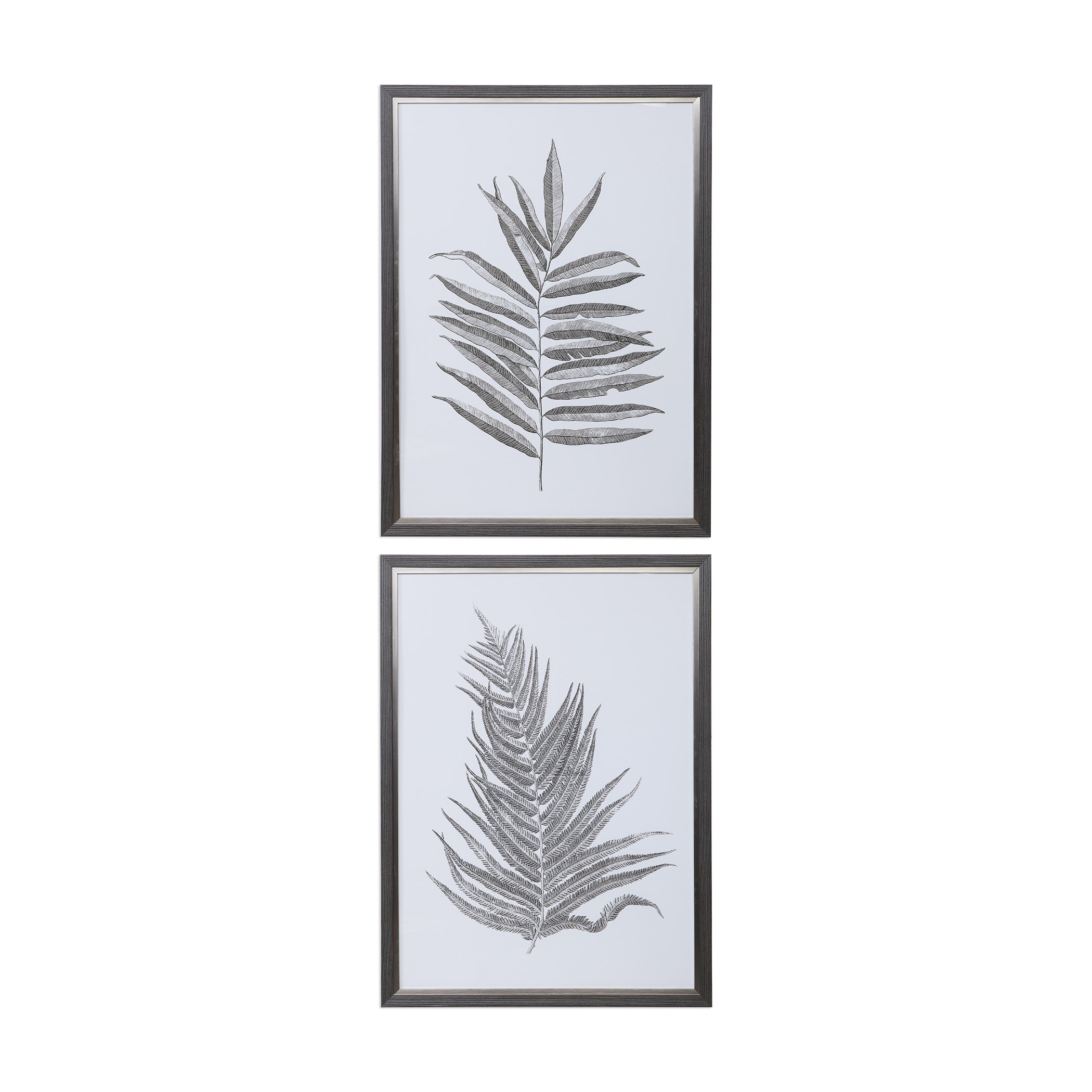 Silver Ferns Framed Prints - Set of 2