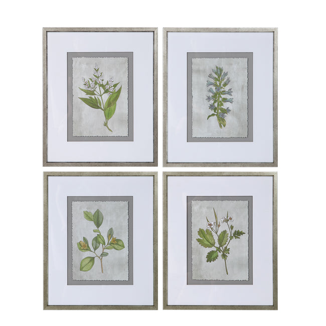 Stem Study Framed Prints - Set of 4