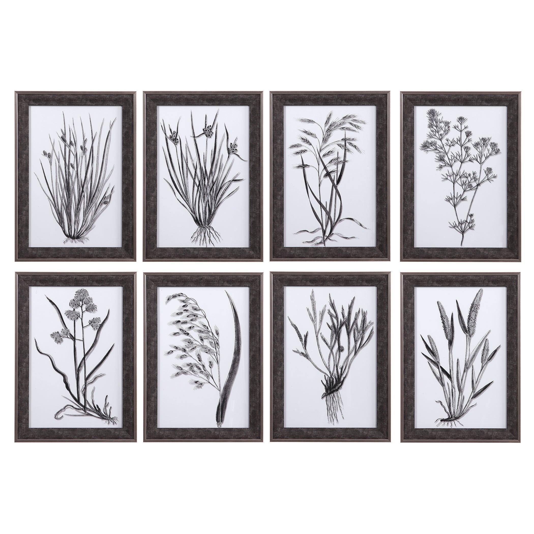 Classic Botany Framed Prints - Set of 8