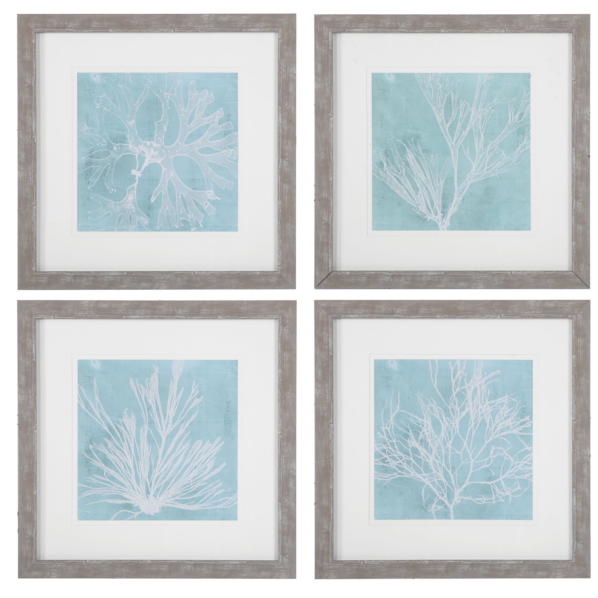 Seaweed On Aqua Framed Prints - Set of 4