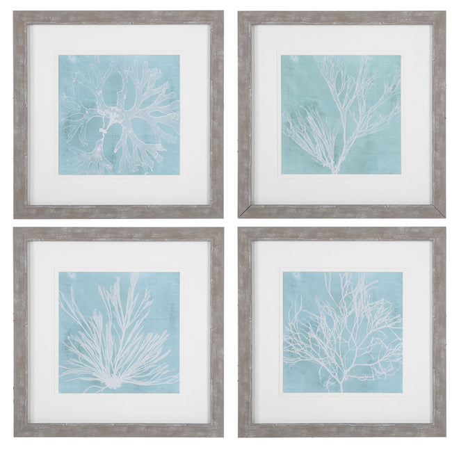 Seaweed On Aqua Framed Prints - Set of 4