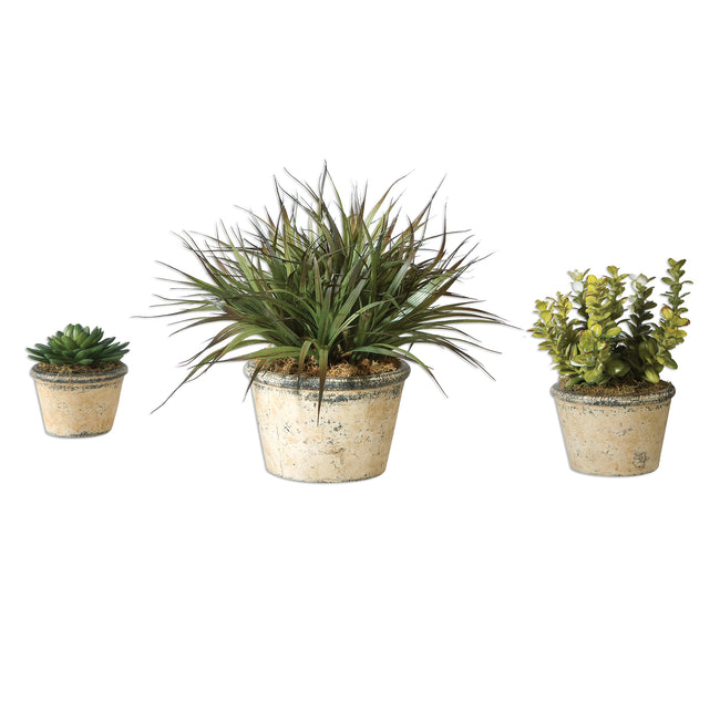 La Costa Greenery - Set of 3