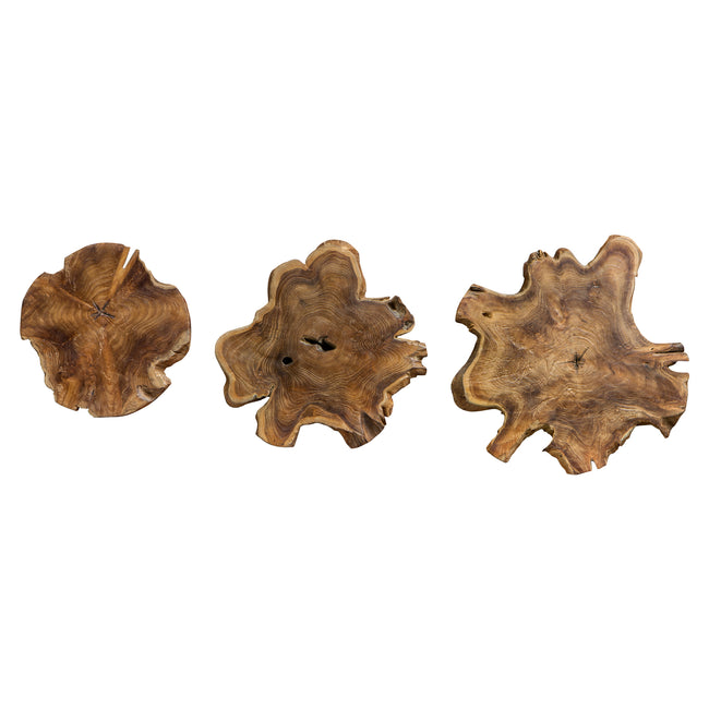 Kalani Teak Wall Art - Set of 3