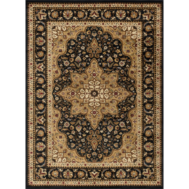 Frederick Traditional Oriental Black Rectangle Area Rug  - 5' x 7'